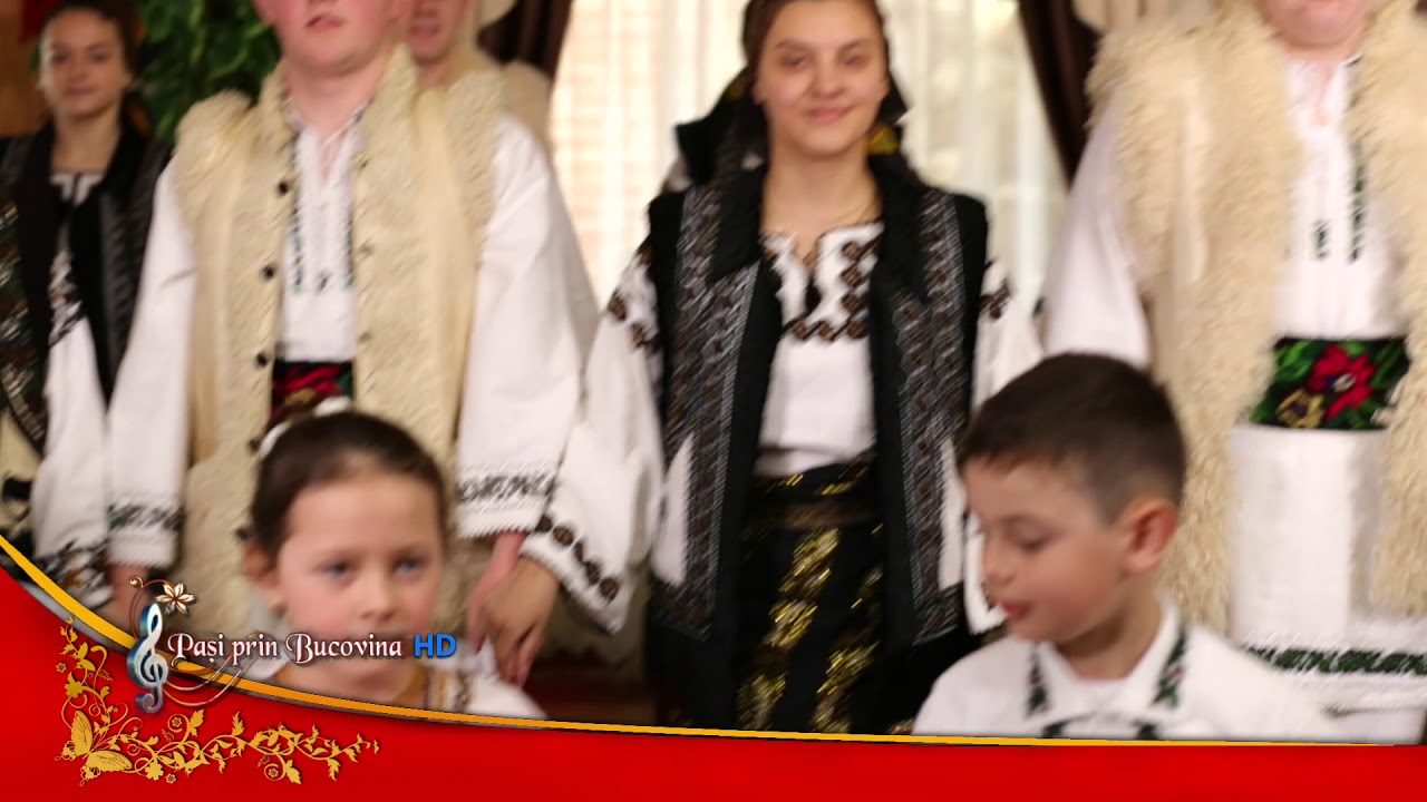 Ansamblul ”Stejarelul”   Cajvana