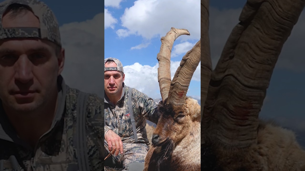 "Alpine Ibex at Point-Blank Range!"