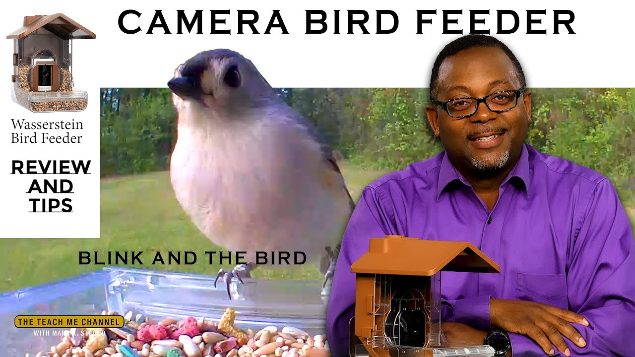 Blink and The Bird (Camera Bird Feeder Review) - Wasserstein Bird Feeder Camera Case