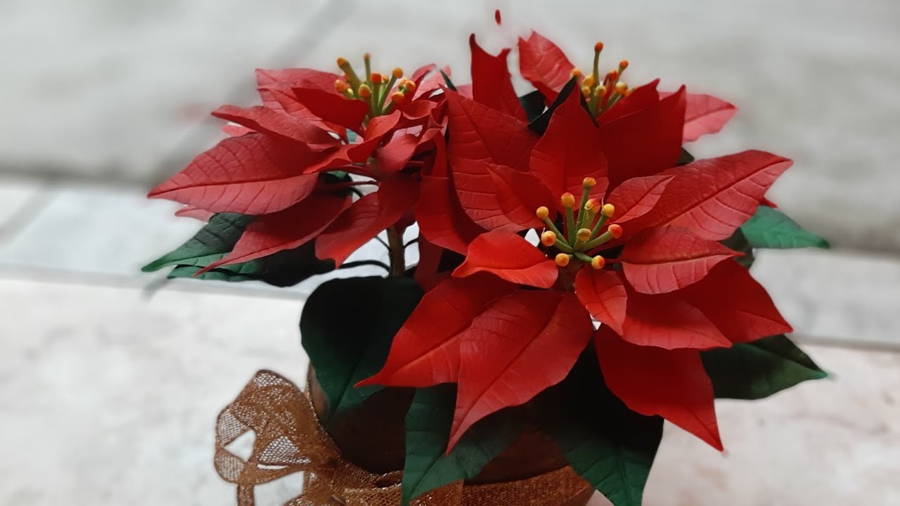 flor de natal... flor Bico de papagaio  em e v a com forma perfeita da flor..fácil fácil de fazer