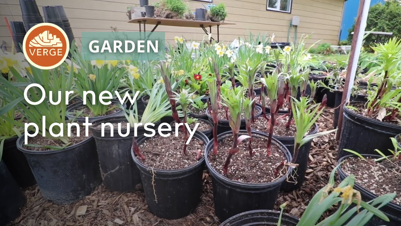 Make Money Selling Plants in Your Backyard! - Our New Plant Nursery