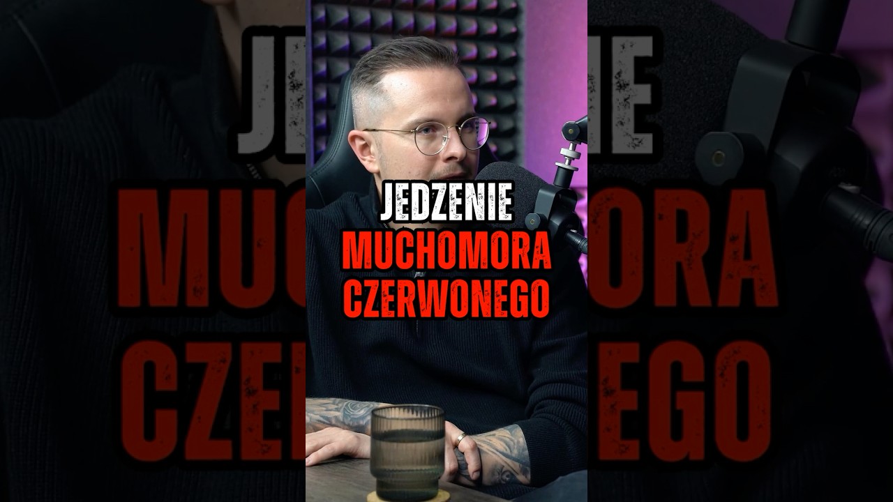 JEDZENIE MUCHOMORA CZERWONEGO #podcast #shorts