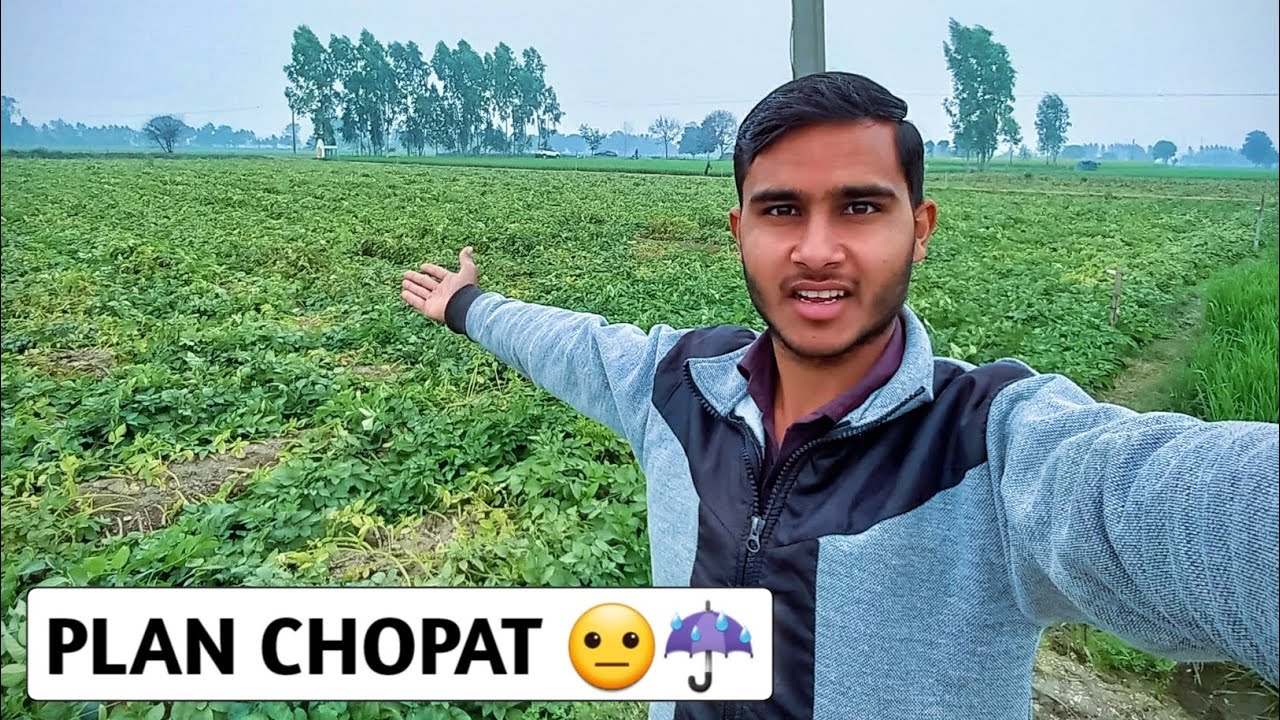 Socha Kuch Aur Tha… Barish Ne Plan Chopat Kar Diya 😐