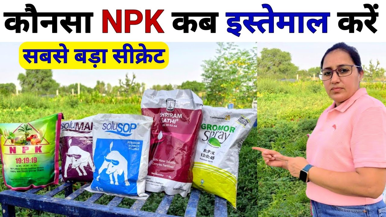 NPK Fertilizer | Water Soluble Fertilizer | npk 19 19 19 | npk 13 0 45 | npk 0 52 34 | npk12 61 00