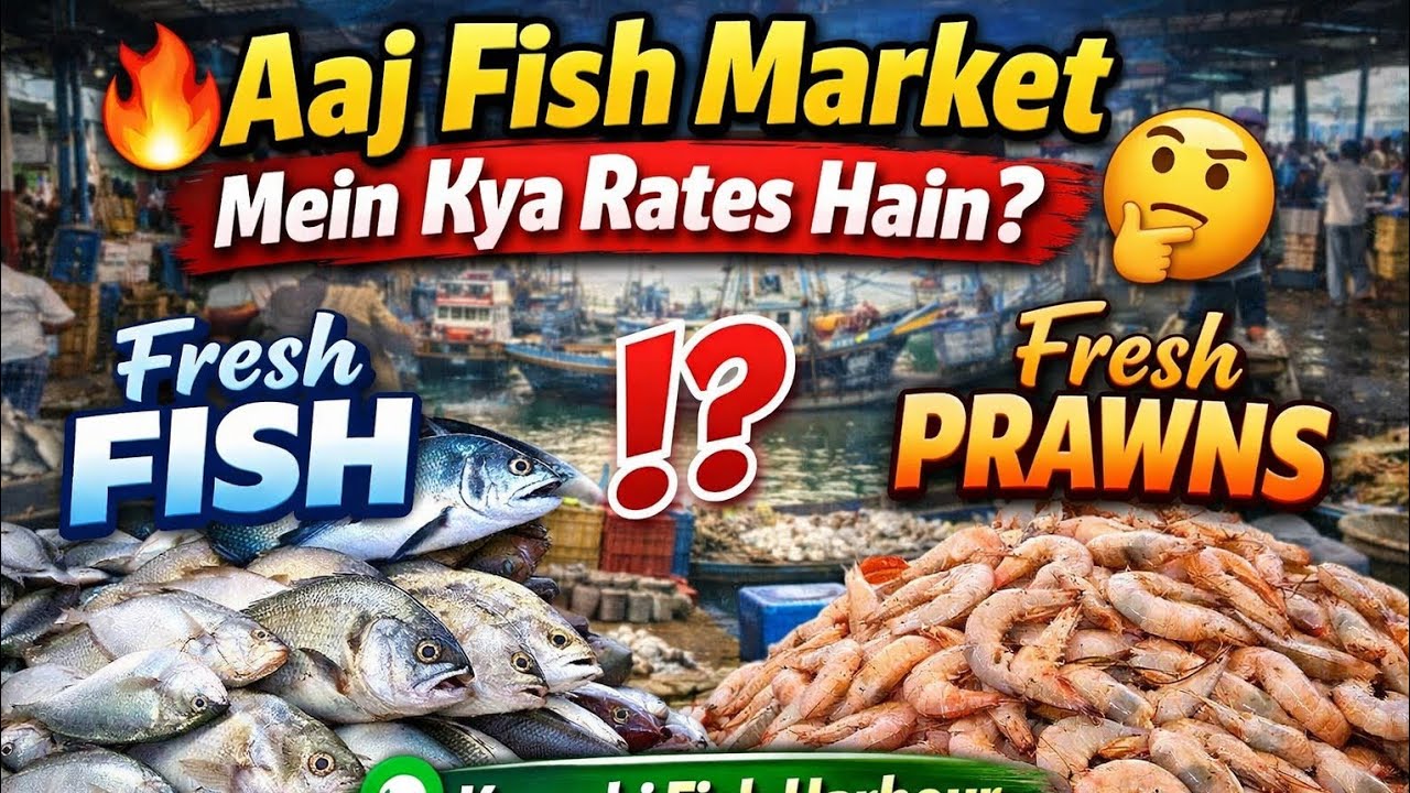 🔥 Aaj Fish Market Mein Kya Rates Hain? 🐟 Fresh Fish 🦐 Fresh Prawns 📍 Karachi Fish Harbour