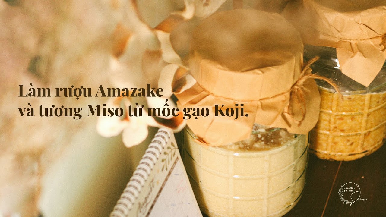 Làm rượu Amazake và tương Miso từ mốc gạo Koji