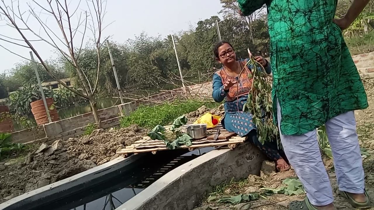 বাগানের সব্জী আজ রান্না হবে 