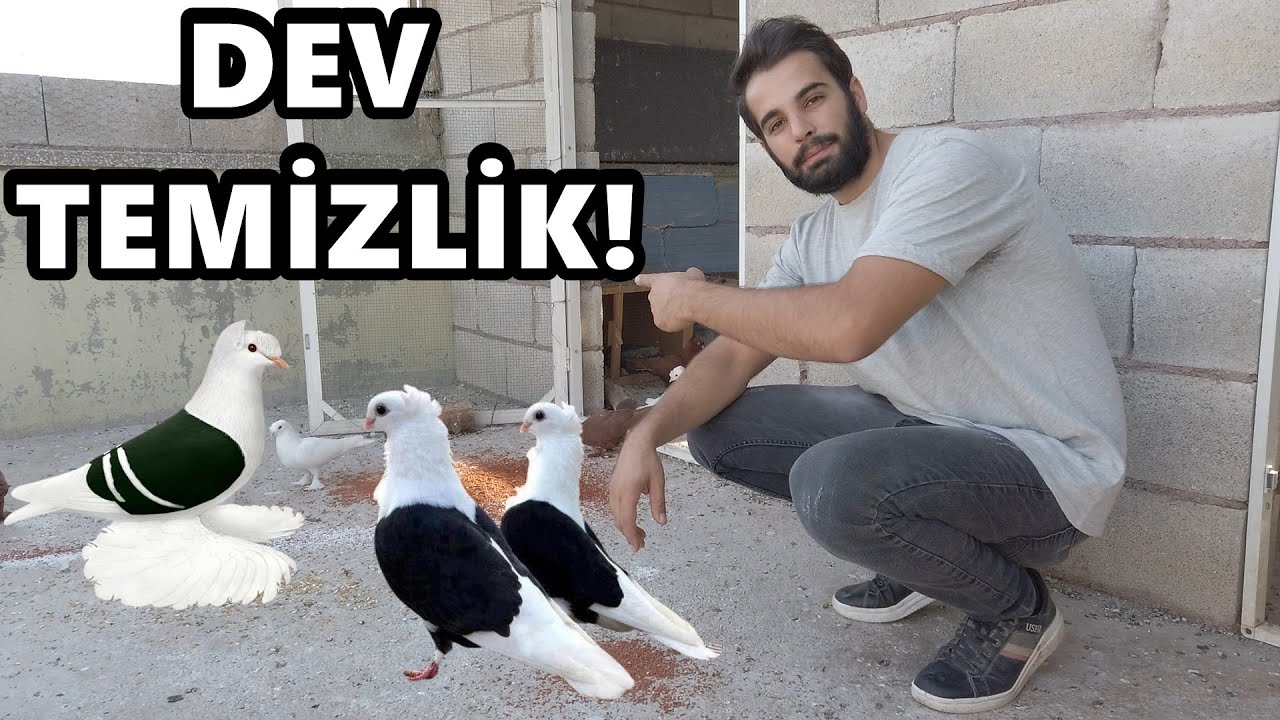 KAFESLER LEŞ GİBİ OLMUŞ! TEMİZLEDİK!