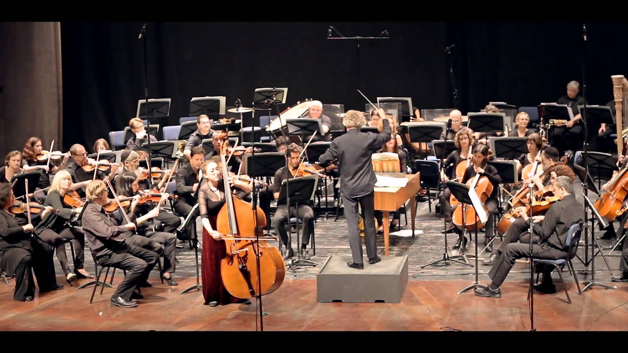 Hoffmeister Double Bass Concerto no. 1 in D Major