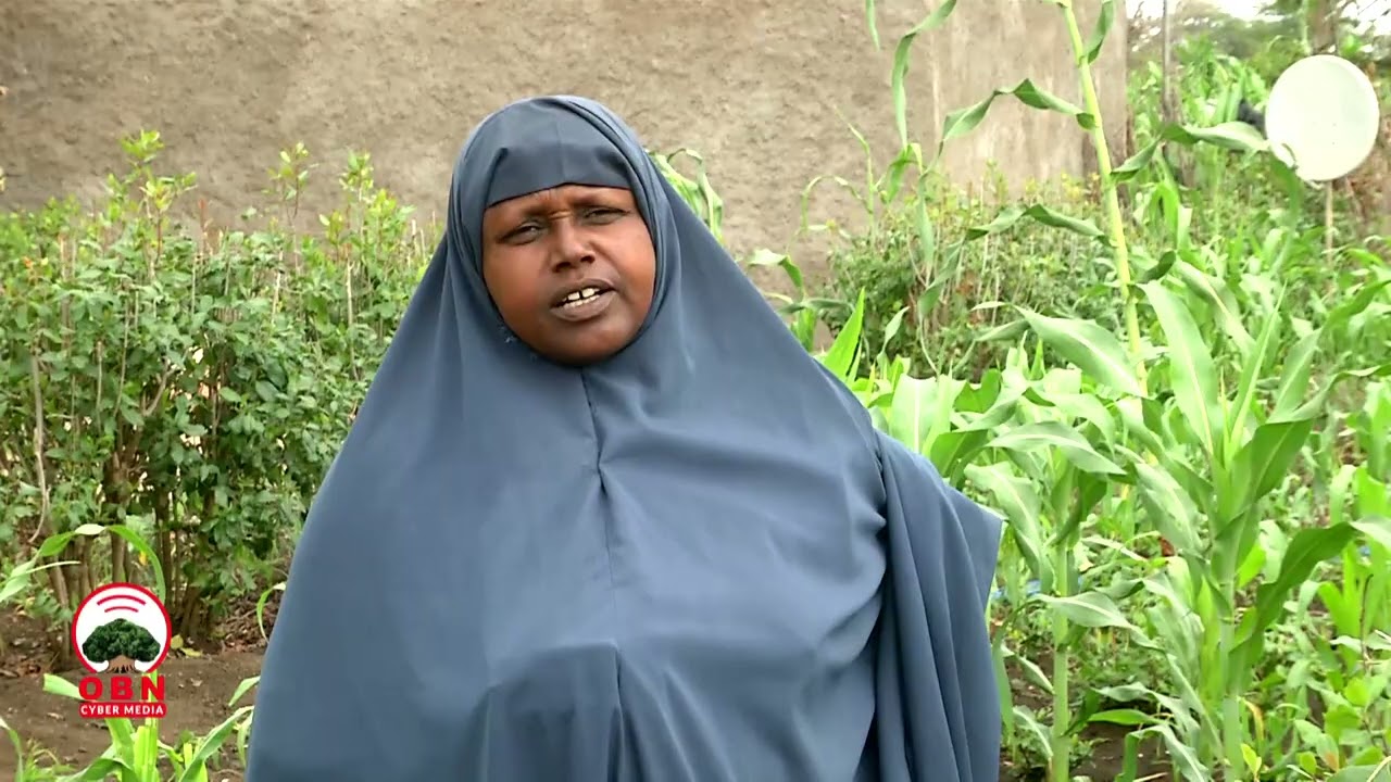 Sona Misoomaa || Hojii biiroo misooma jallisiifi horsiisee bulaan hojjetamudha