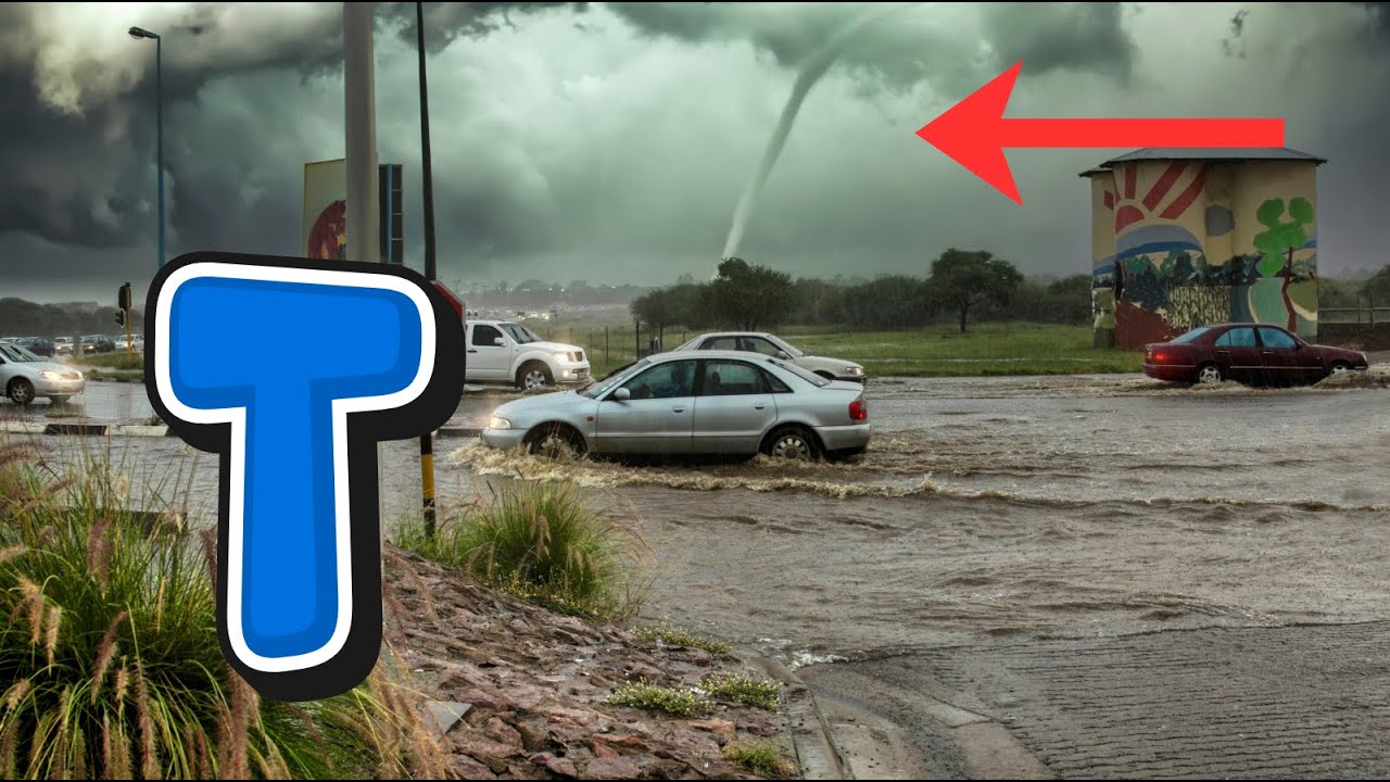 Алфавит стихийных бедствий от А до Я 🌪️🌋 | Песенка про экстремальные погодные явления для детей |...