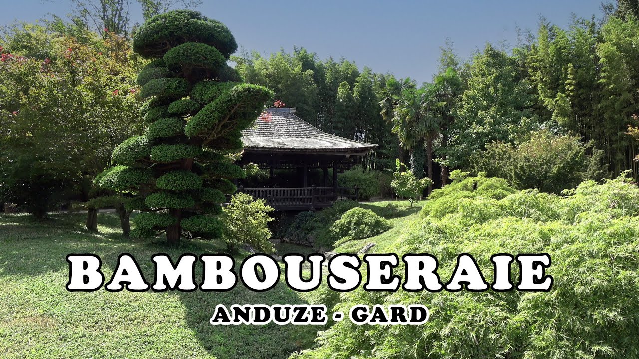 ANDUZE - La Bambouseraie