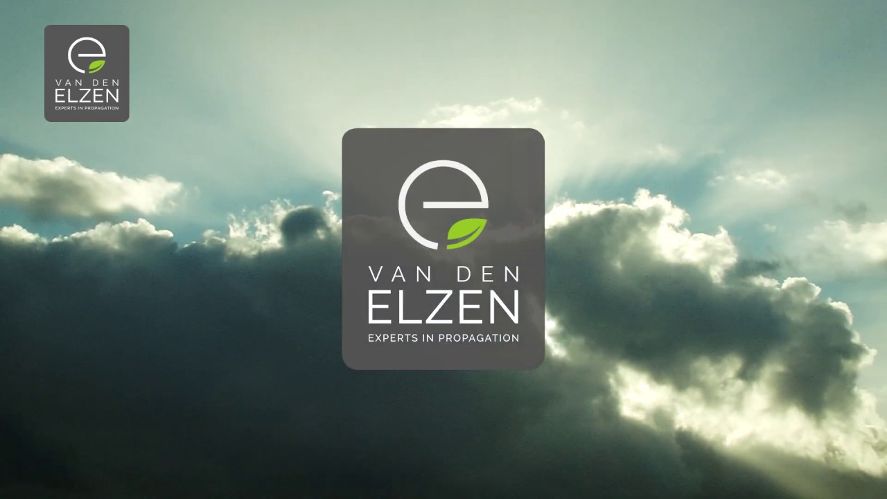 Van den Elzen Plants - Aanleg Aardbeientrayveld