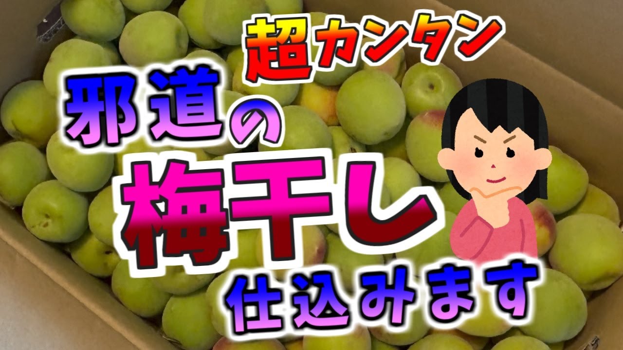 超カンタン！邪道の梅干し、仕込みます！#手作り#無添加#梅干し