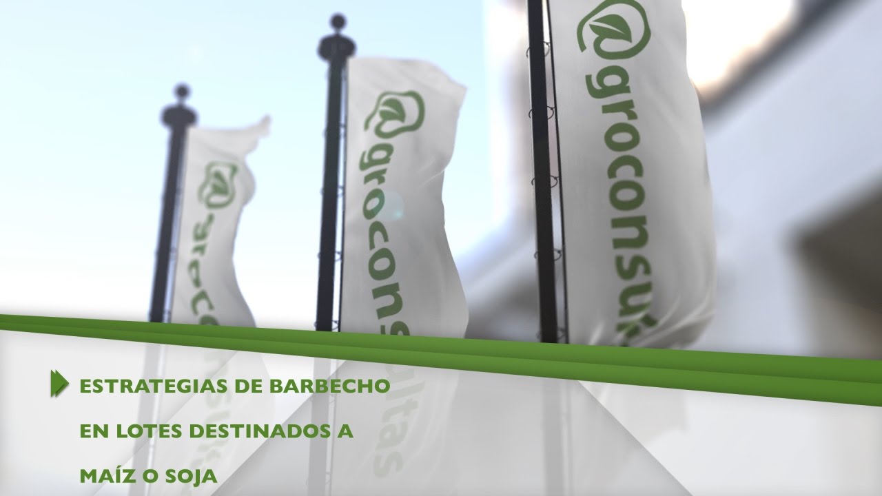 Estrategias de barbecho en lotes destinados a maíz o soja
