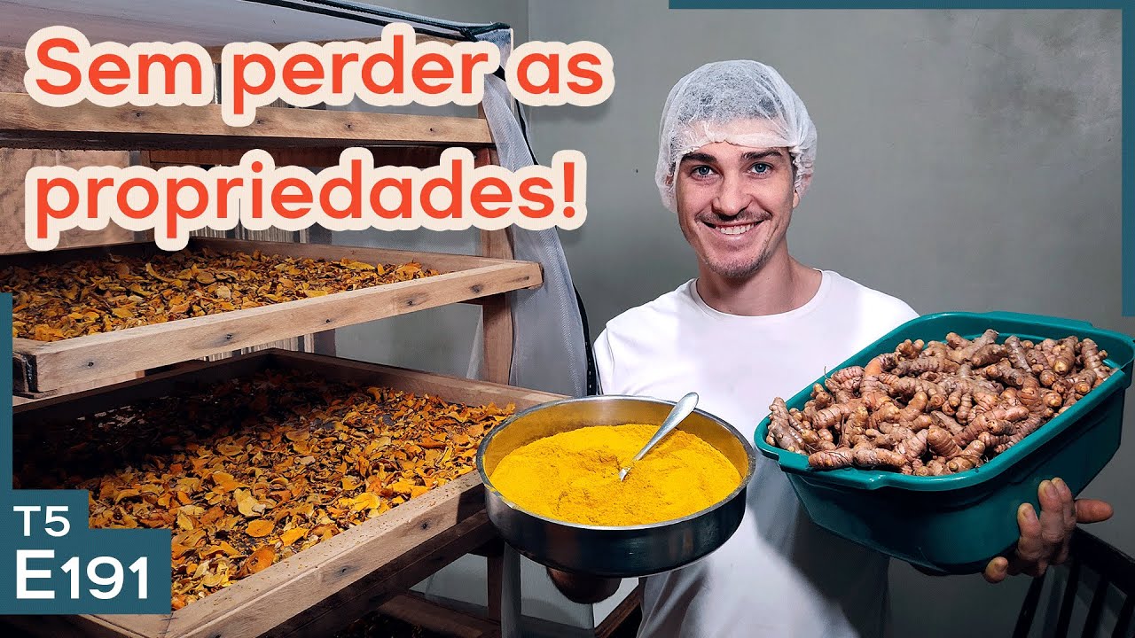 Como fazer pó de açafrão da terra em casa