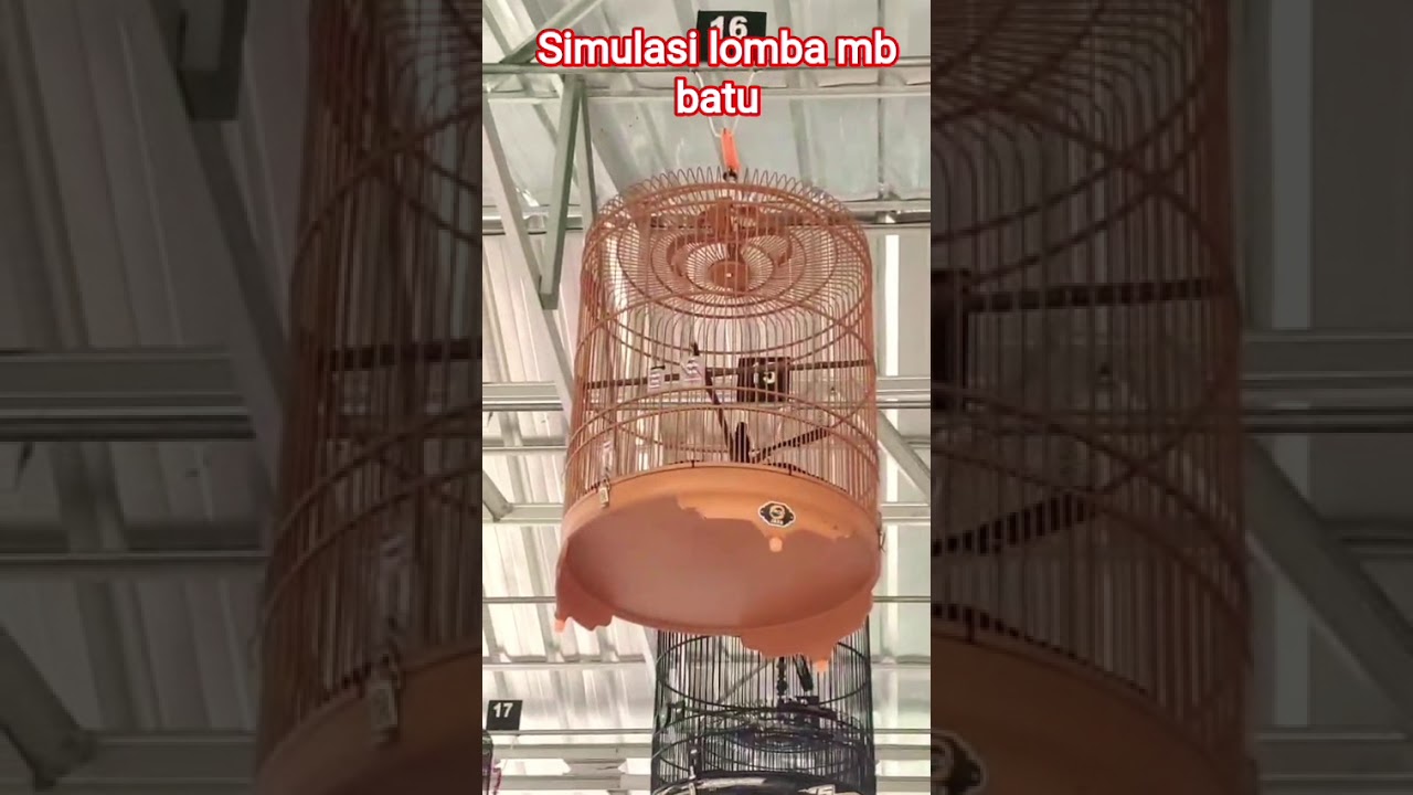 #simulasilombamuraibatu