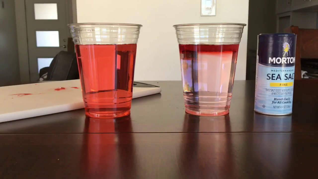DOES ICE MELT FASTER IN SALT WATER OR TAP WATER??? HMM...