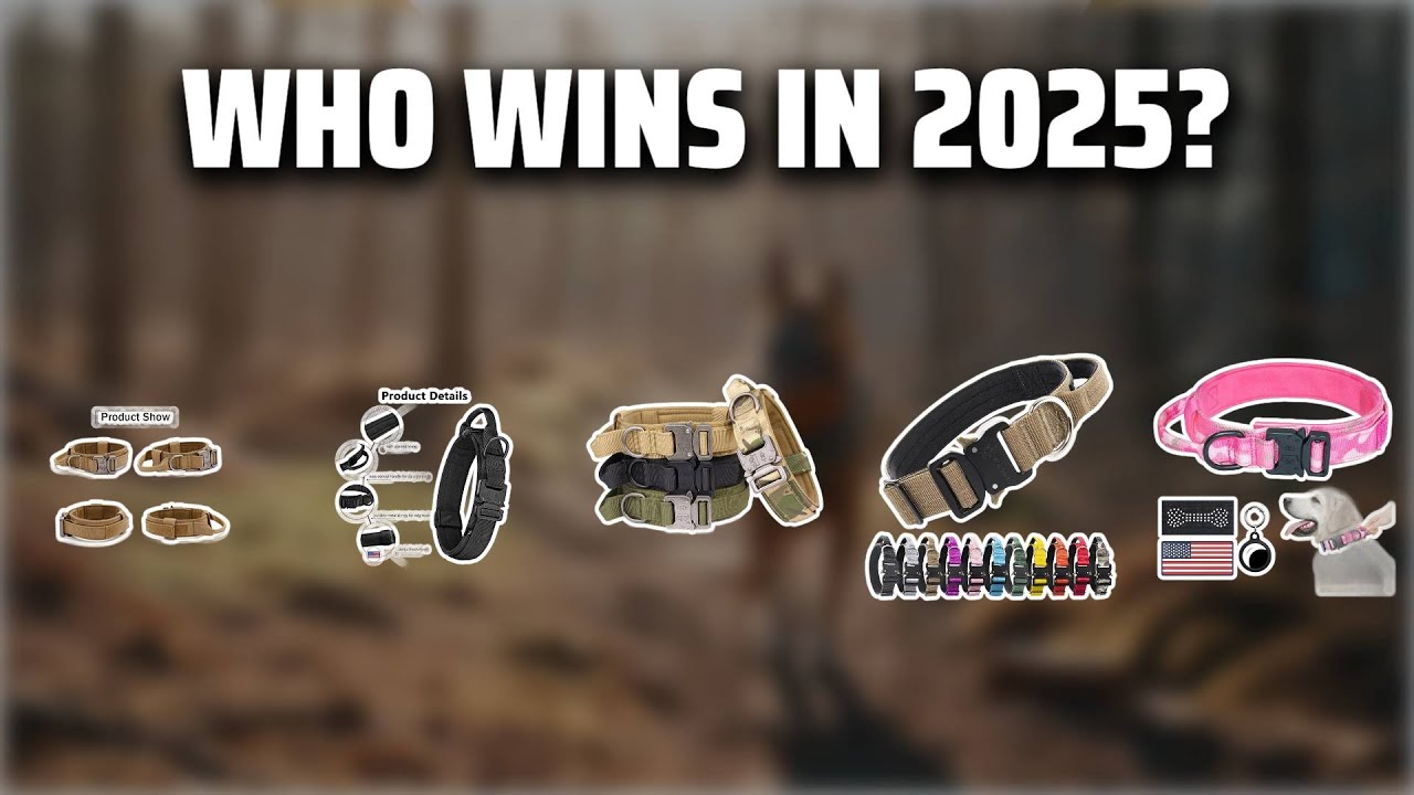 The Top 5 Best Tactical Dog Collars in 2025 - Must Watch Before Buying!
