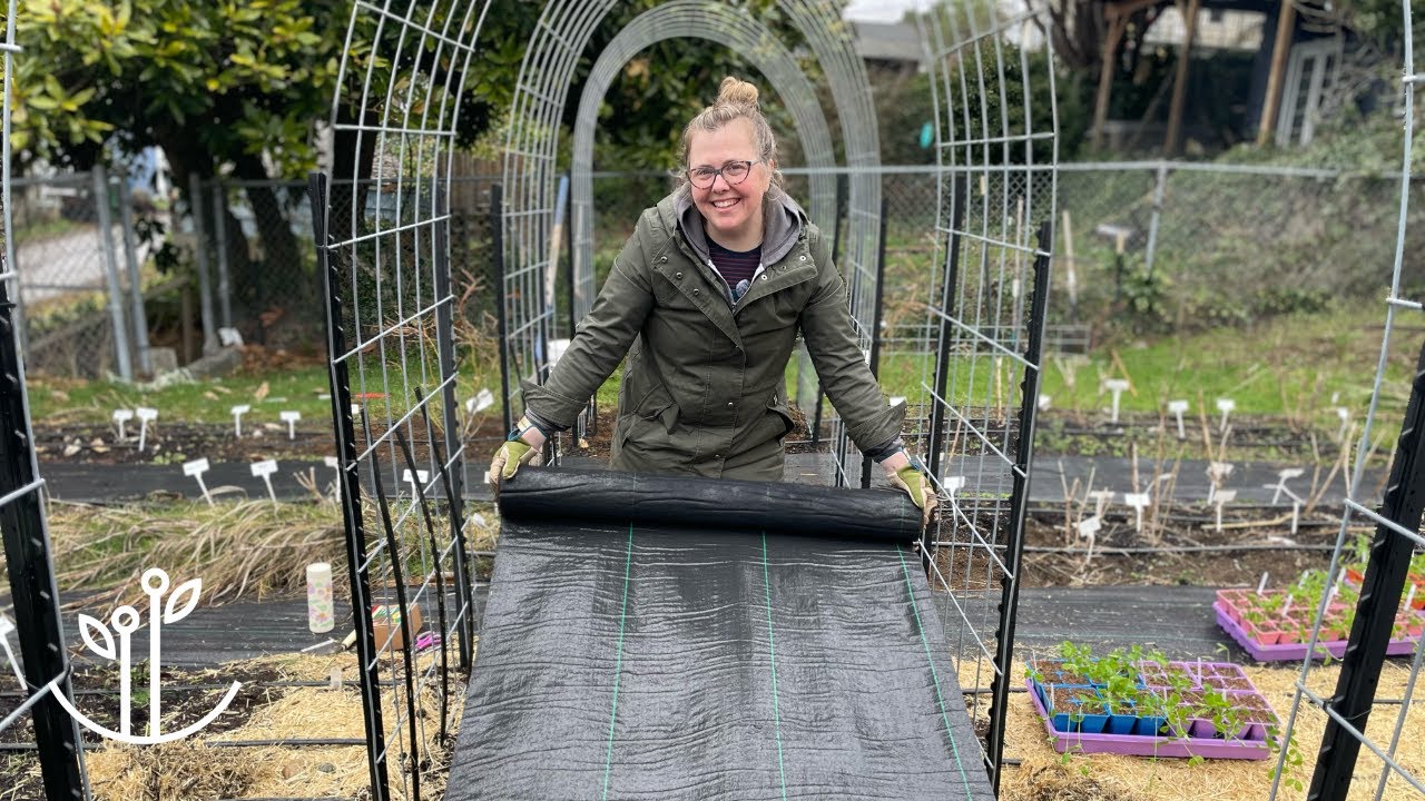 Garden Renovation | Let’s Lay the New Pathway! 🌷