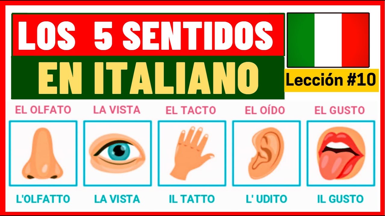#10 🇮🇹 ITALIANO LECCIÓN 10| LOS 5 SENTIDOS + ÓRGANOS Y VERBOS @LatinaenItalia