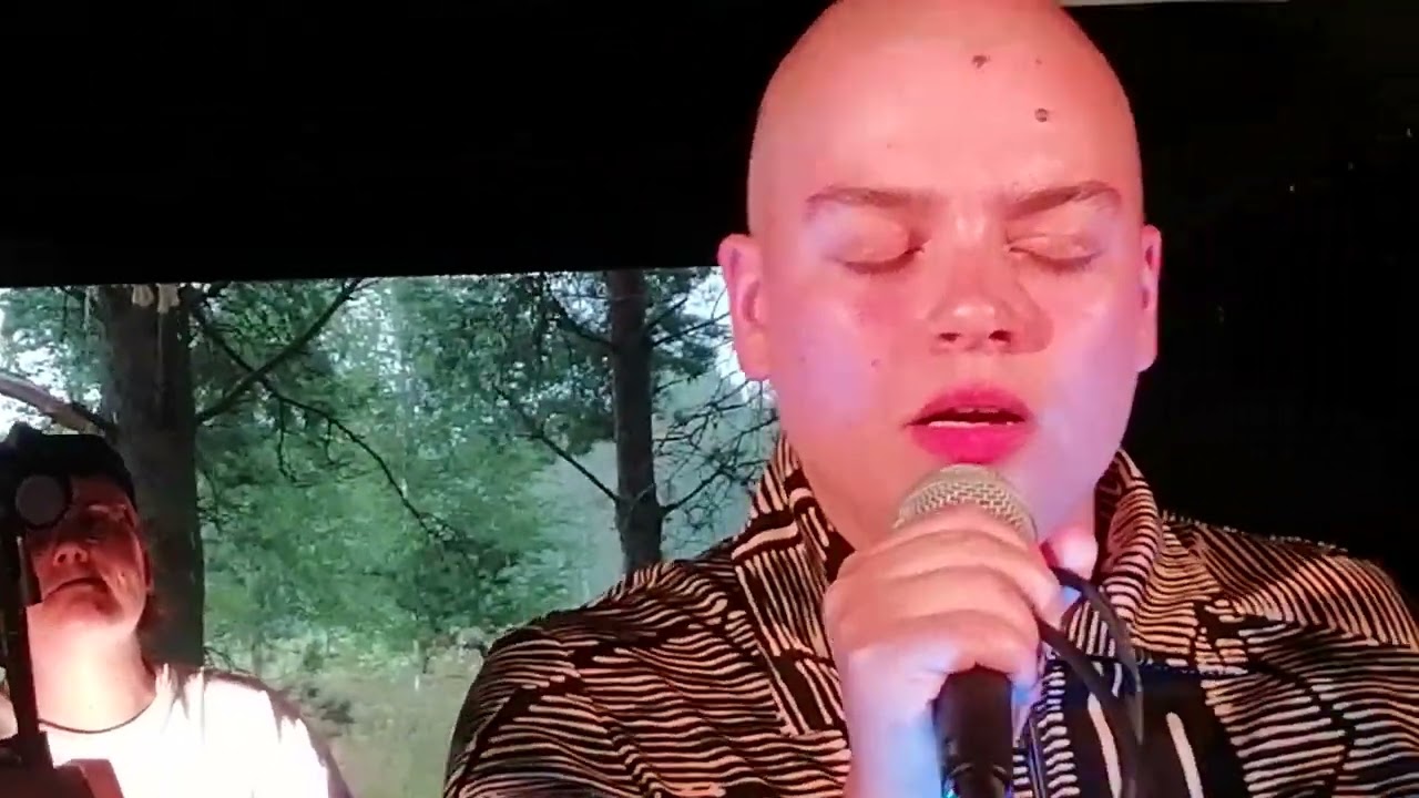 Rosita Luu: Mansikkapaikka 2021