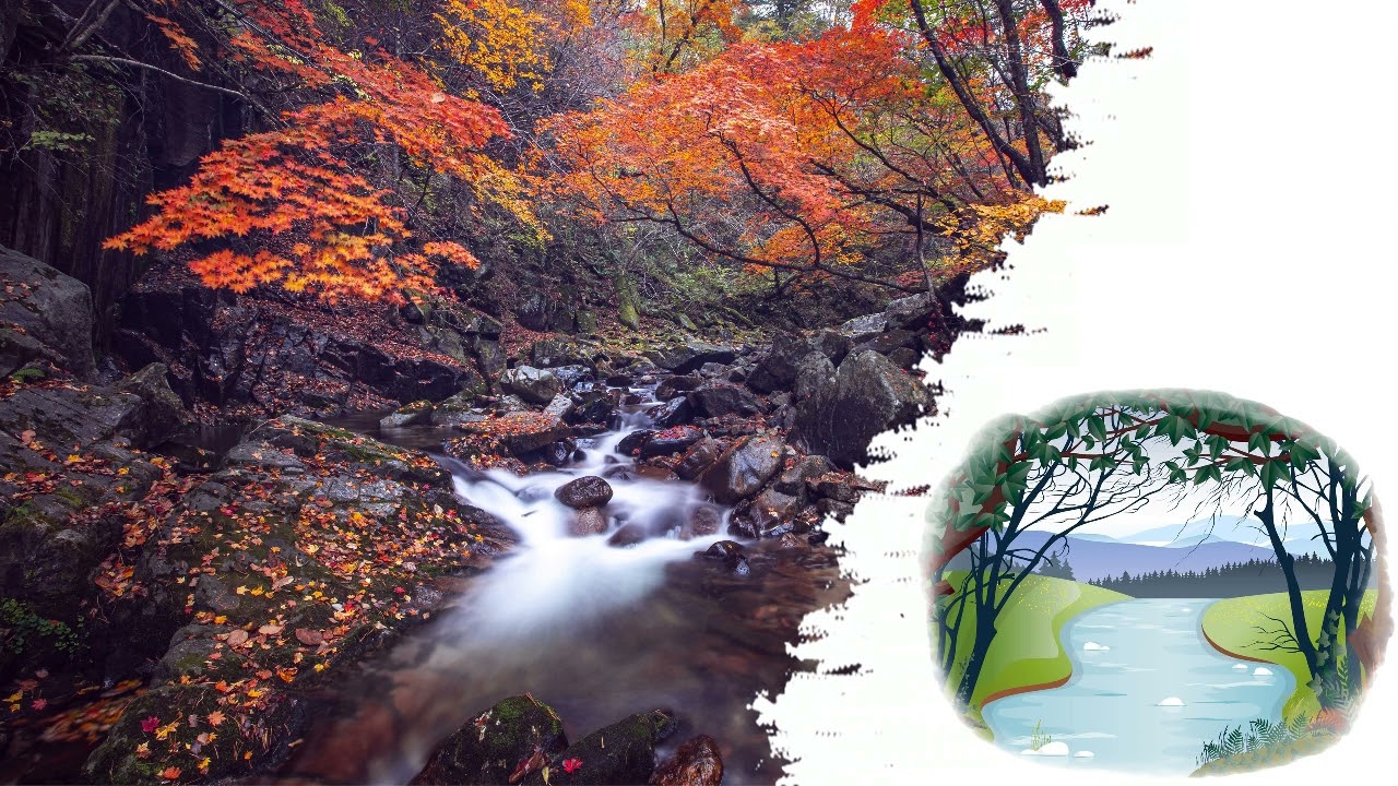 Waldbach | Das Rauschen des Flusses der durch den Wald flie&szlig;t | L&auml;rm, um Ihr Kleinkind einzuschlafen
