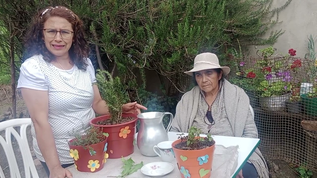Conexión e impacto medicinal