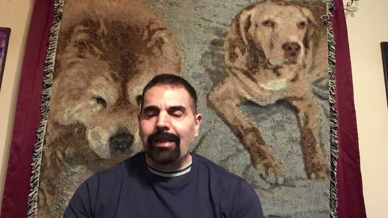 Super Bowl Game/ Halftime Show Analysis #NFL #Turning Point USA #Bad Bunny 