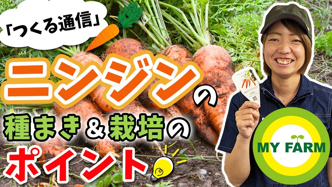 ニンジンの育て方を徹底解説！種まきから栽培中の管理・収穫まで【つくる通信】