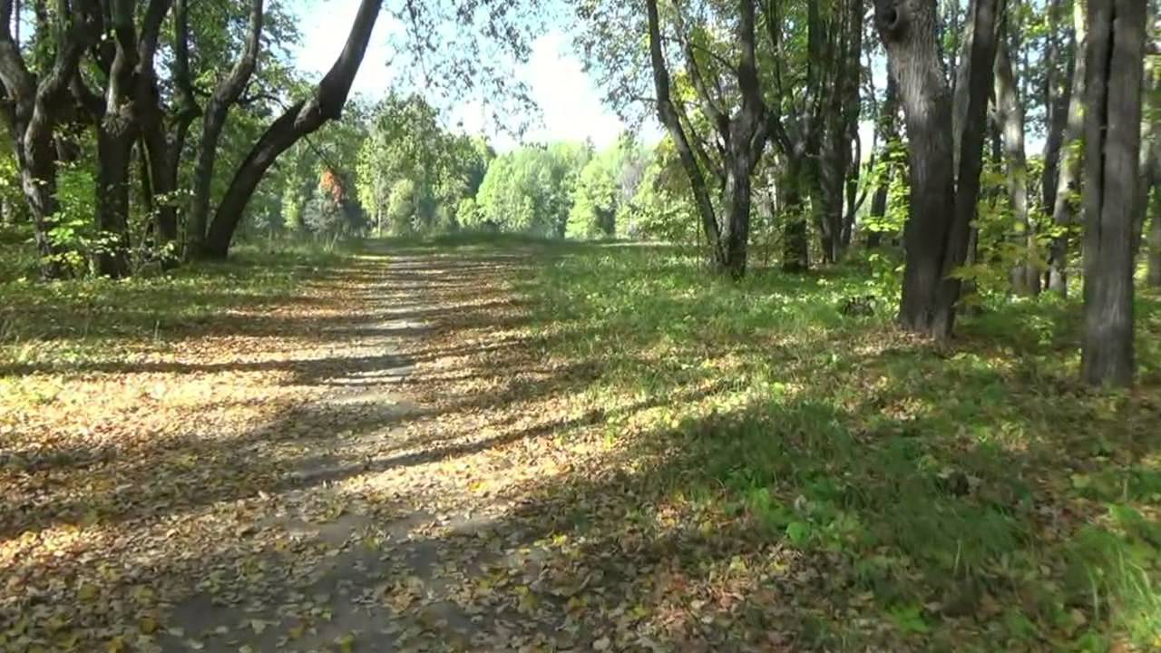 Топ 3 уникальных заброшенных усадеб Подмосковья [Итоги года]