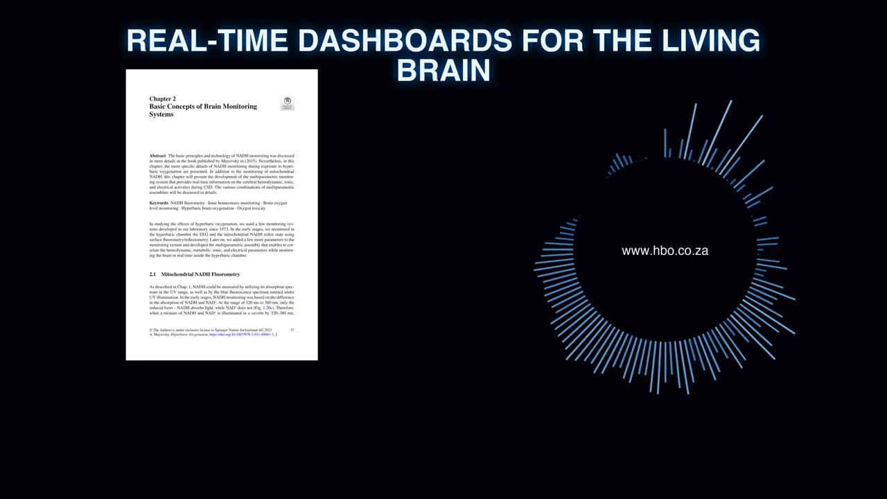 HO 02 - Real time dashboards for the living brain - Deep Dive Podcast