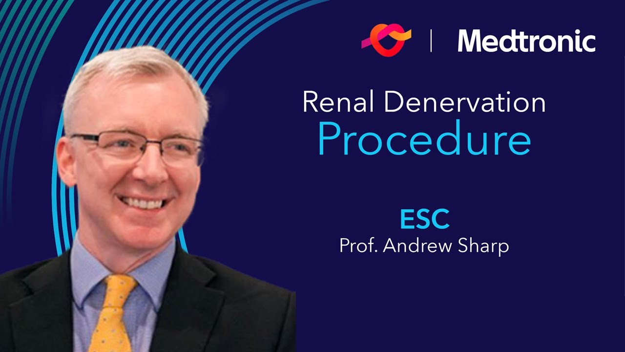 The science behind RF renal denervation safety and durability