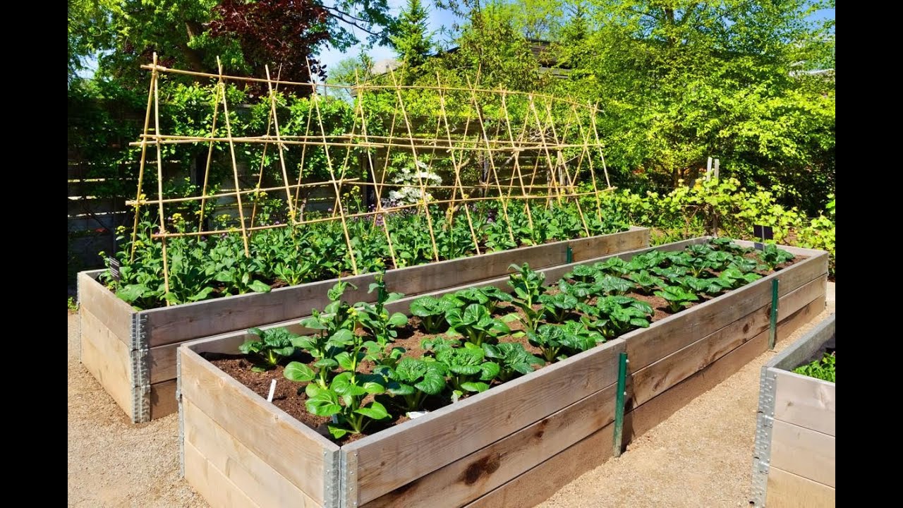 Tipurile de straturi in gradina.