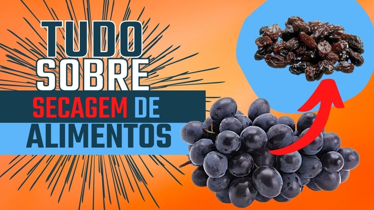 SECAGEM DE ALIMENTOS - Vantagens e Desvantagens dos métodos natural e artificial na indústria