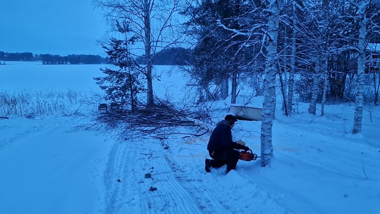 Mukavin moottorisaha ikinä Husqvarna 445 x-torq 2019 hankittu. @lahenpehtoori1881