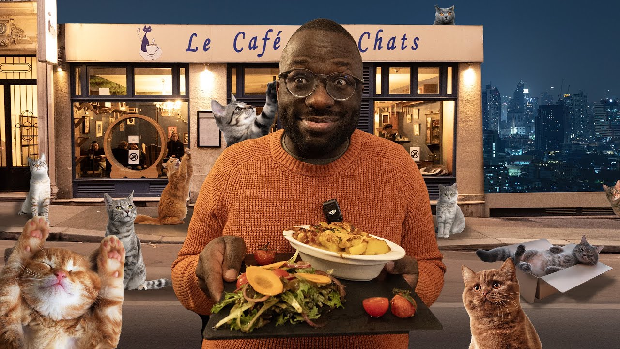 Un NEKO CAFÉ À PARIS ( Le café des chats)