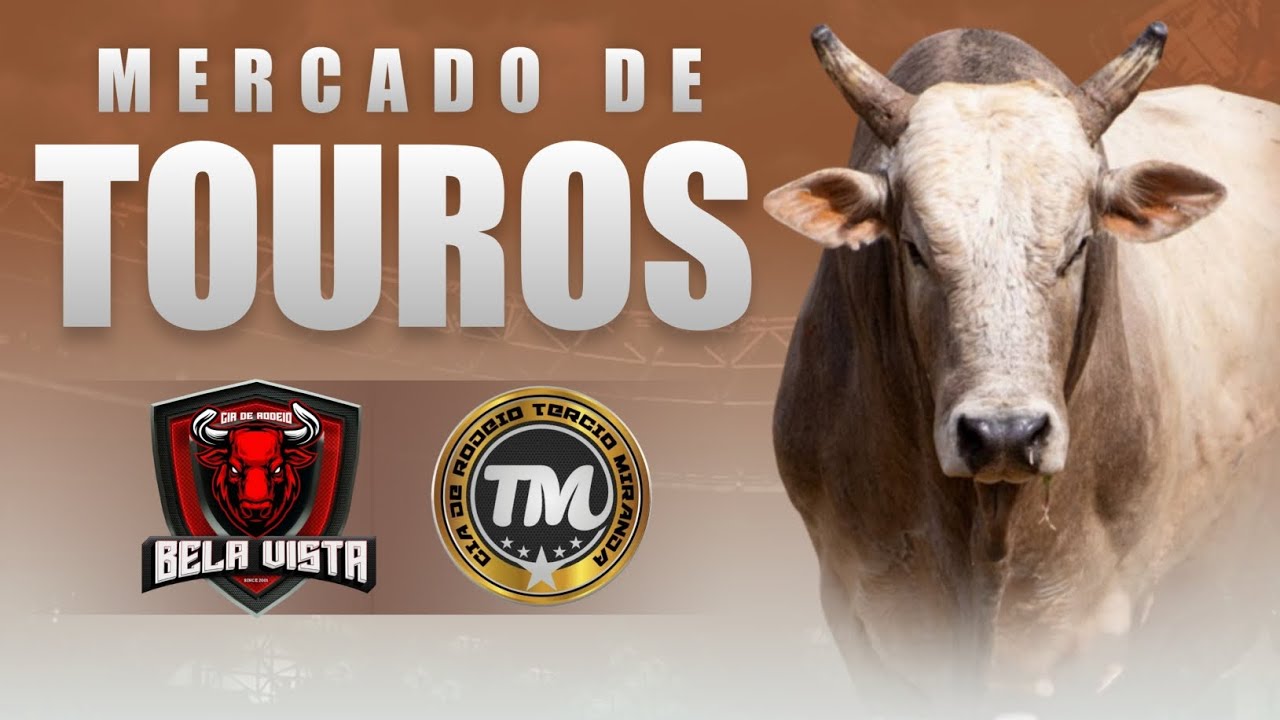 Mercado de Touros: Conhe&ccedil;a as Novas Aquisi&ccedil;&otilde;es da Cia T&eacute;rcio Miranda