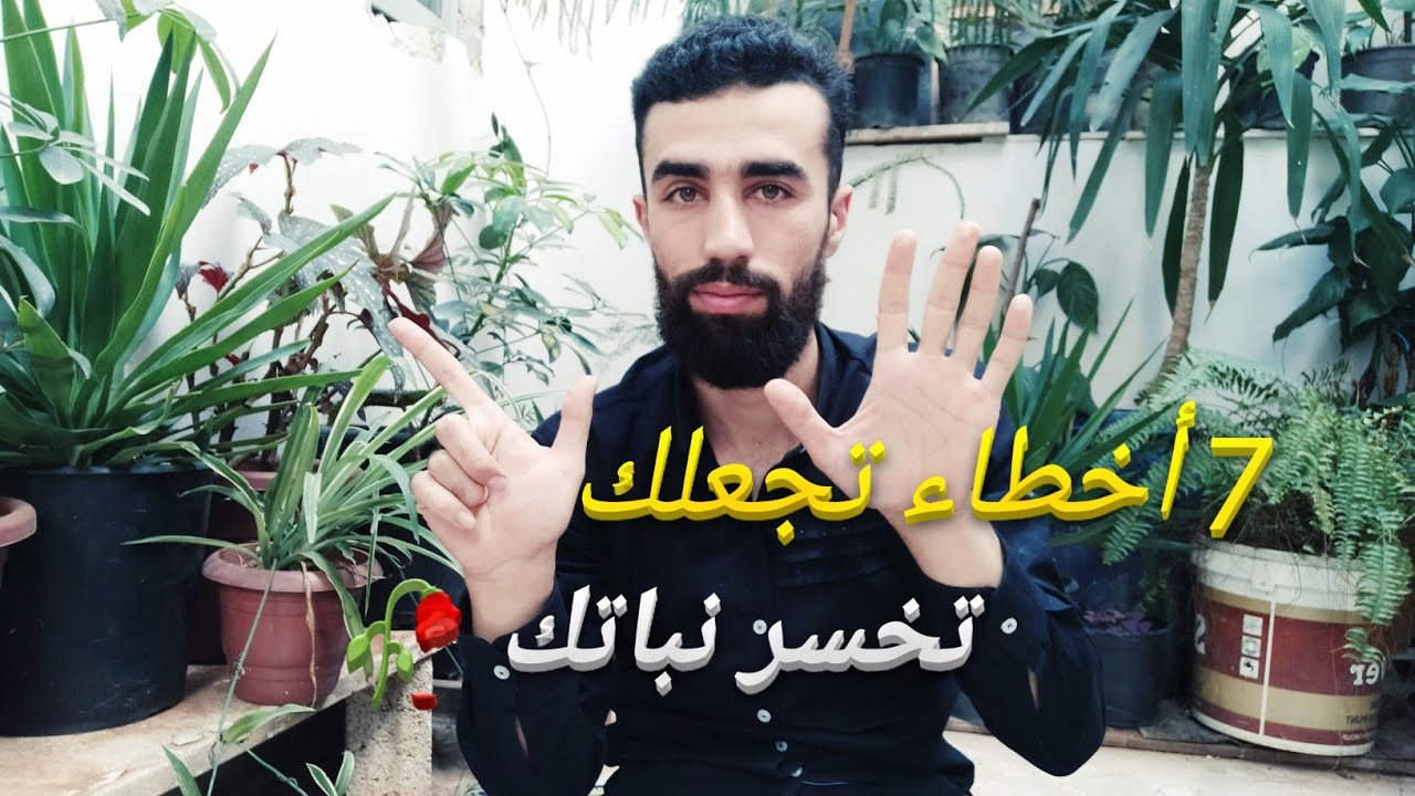 لماذا تموت النباتات المنزلية