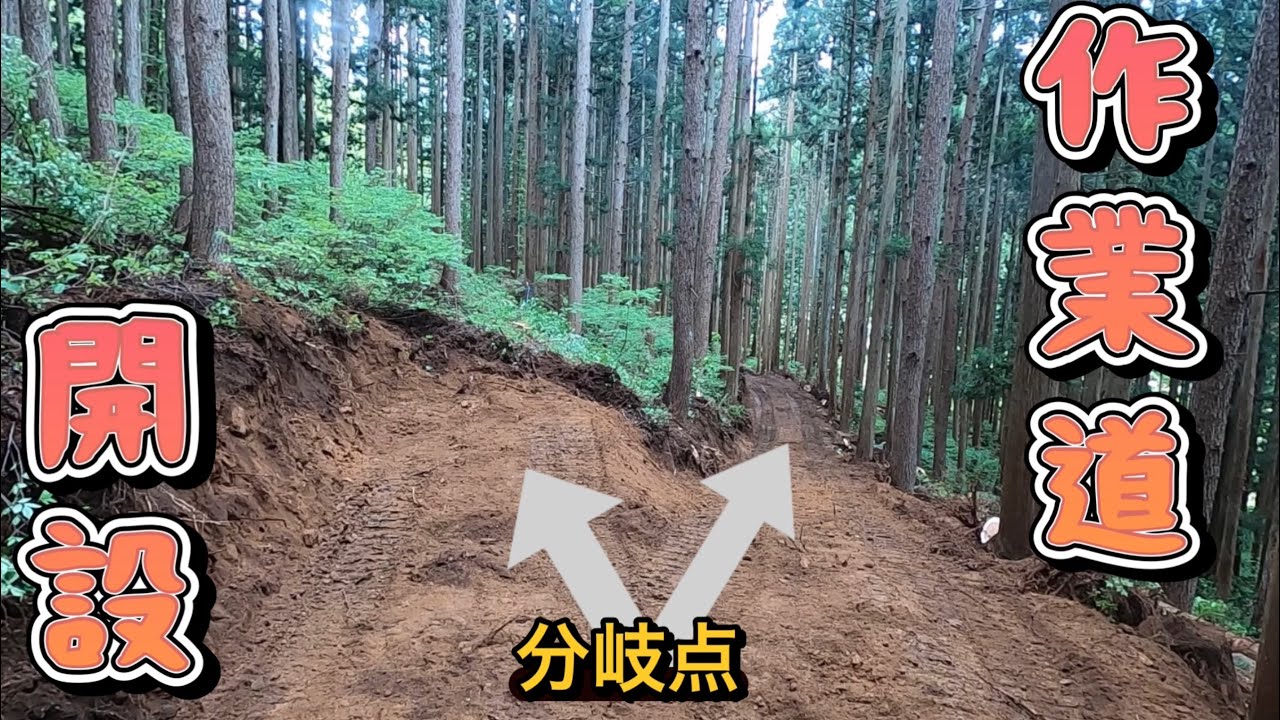 作業道開設　分岐作設　4倍速オペレーター視点
