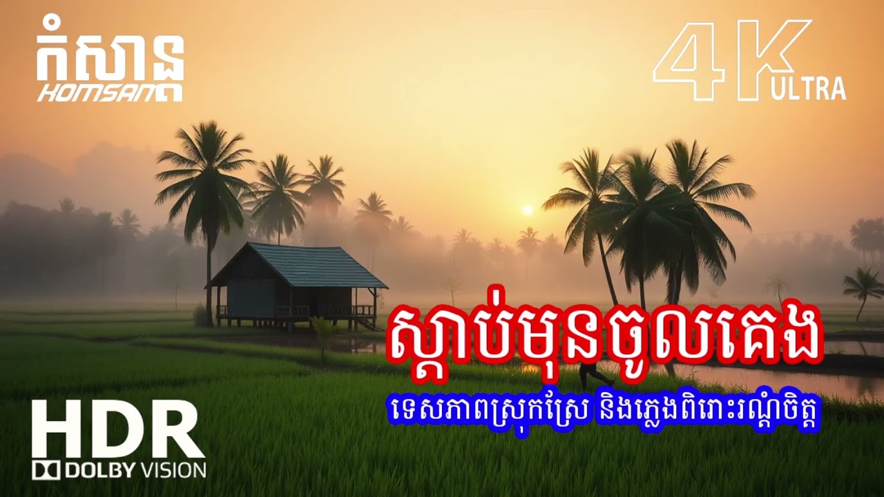 🌙 តន្ត្រីទន់ភ្លន់ពេលយប់ – សម្រាកចិត្ត និងគេងលក់ស្រួល