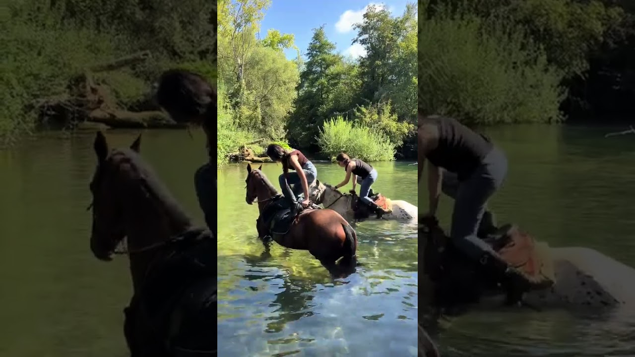 Esperienza magnifica ❤️🐴: 