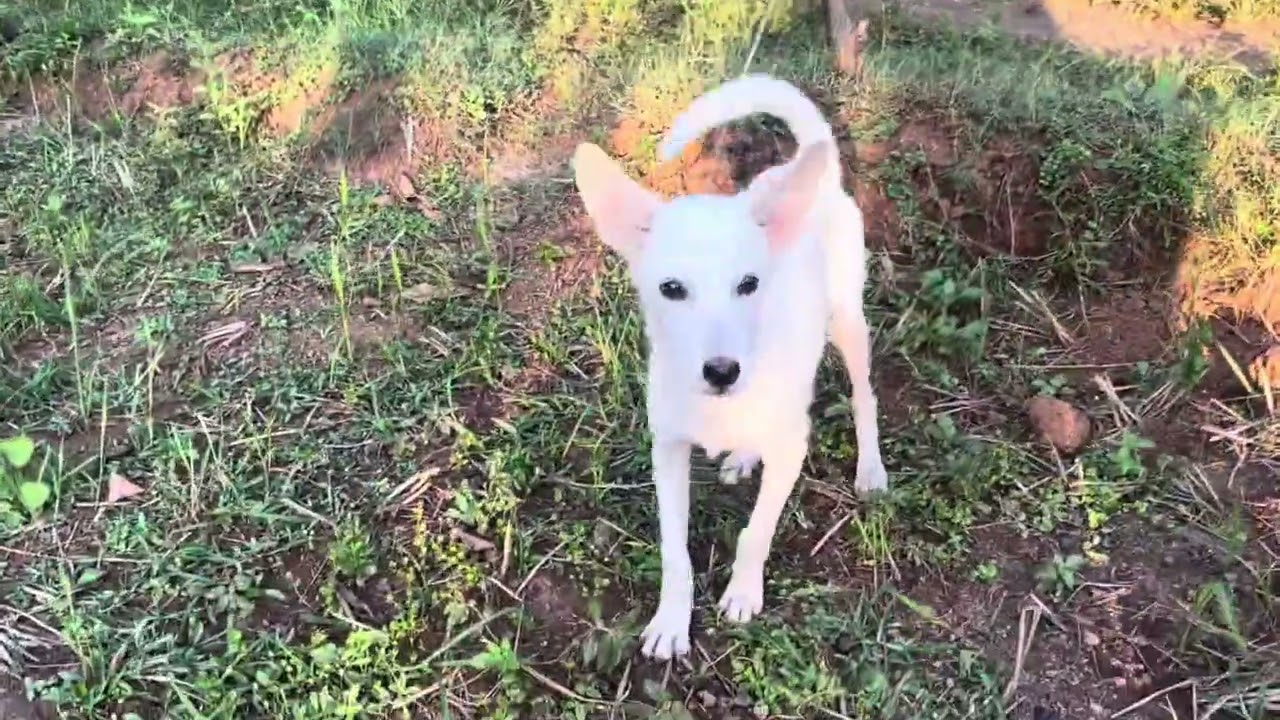 Malwan village visit @ neighbour… 