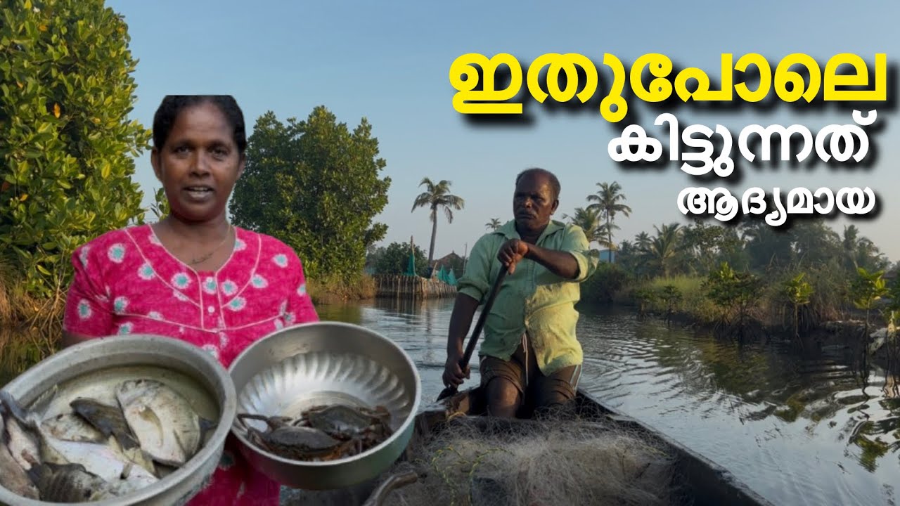 കറിക്കുള്ളതും വിൽക്കാനുള്ളതും കിട്ടി ഞങ്ങൾക്ക് ചാകര ആരുന്നു #cooking #lijisujith #trending #fishing 