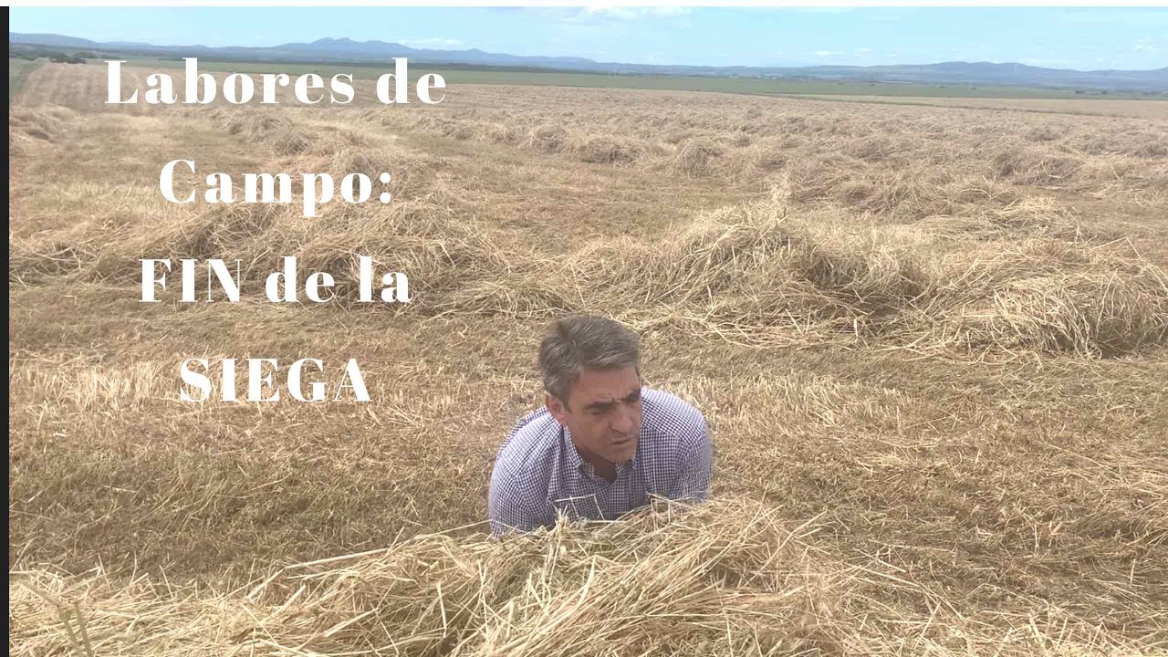 LABORES DE CAMPO: Fin de la SIEGA