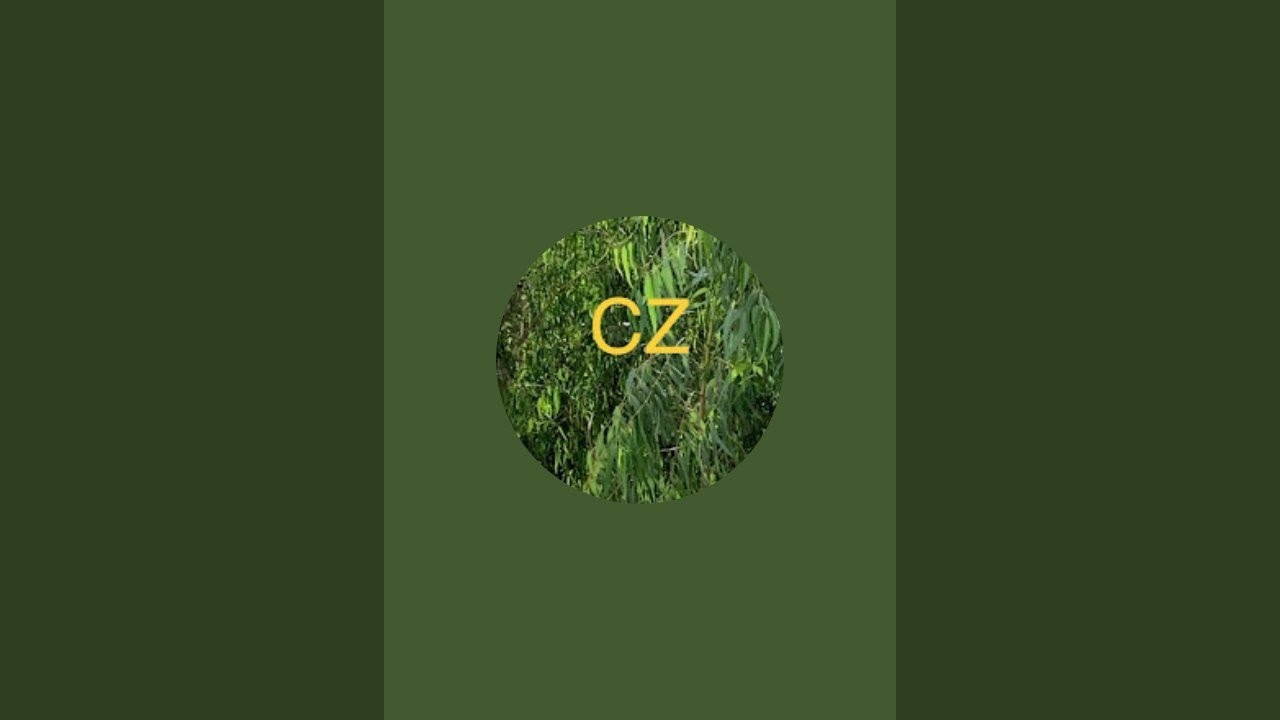 chinnammi zone is live