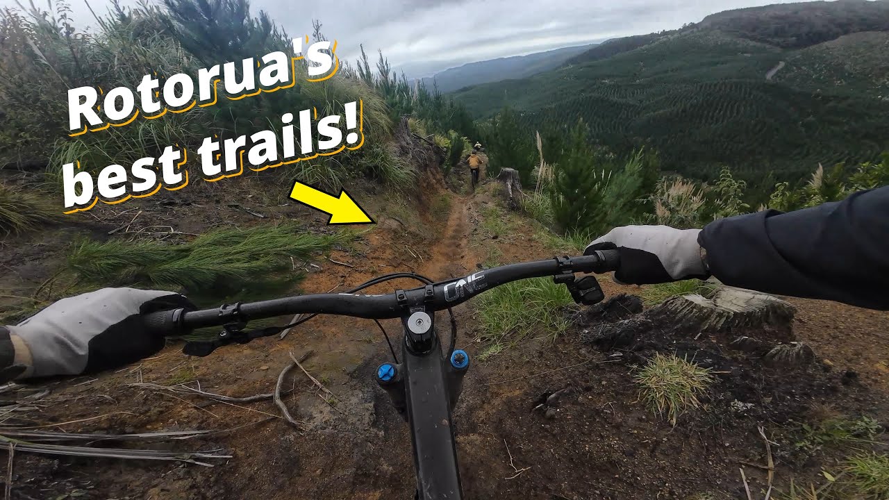 30mins of riding Rotorua's best MTB trails - Private Shuttles