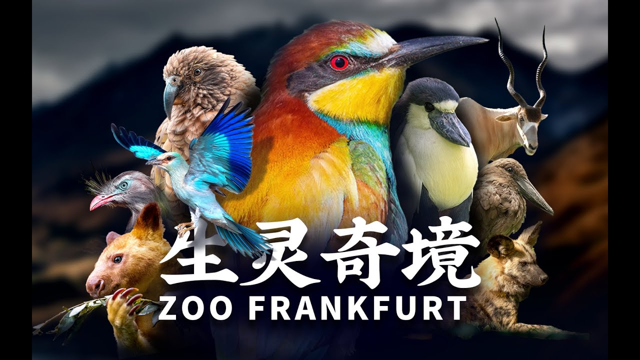 【生灵奇境】灭绝边缘物种的最后家园·Zoo Frankfurt·柒·上