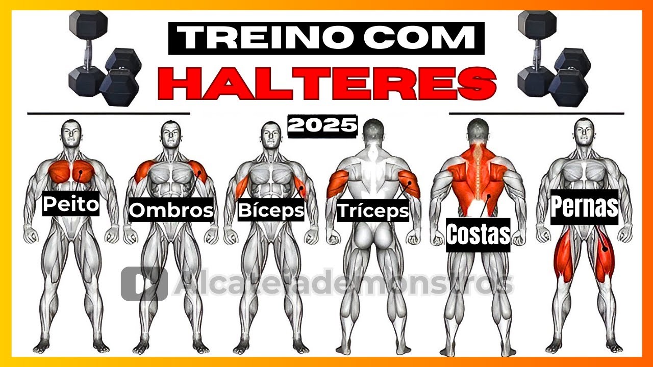 TREINO COM HALTERES COMPLETO EM CASA (Perna, peito, braços, costas, ombro, antebraço, panturrilhas)