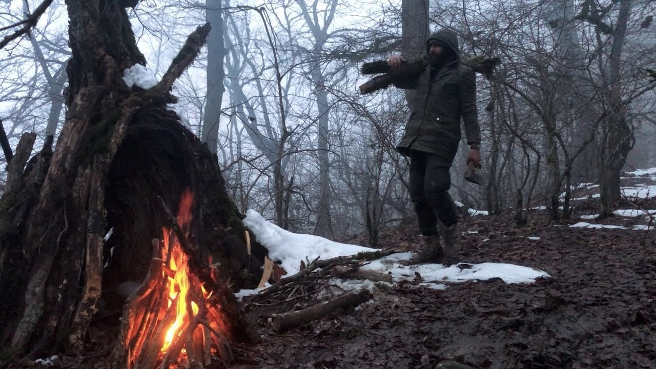 Can I survive in a foggy, snowy forest at -5°C inside a tree trunk: Extreme Survival